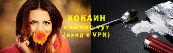 прущие грибы Вяземский