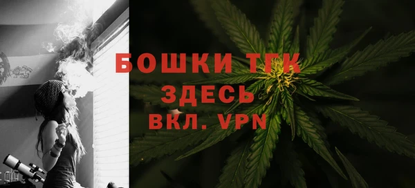тгк Володарск