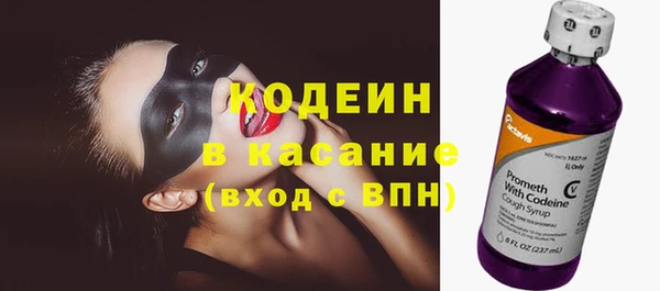 прущие грибы Вяземский