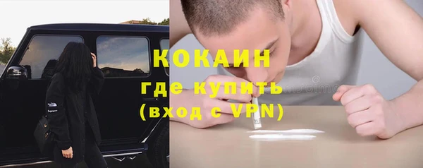 прущие грибы Вяземский