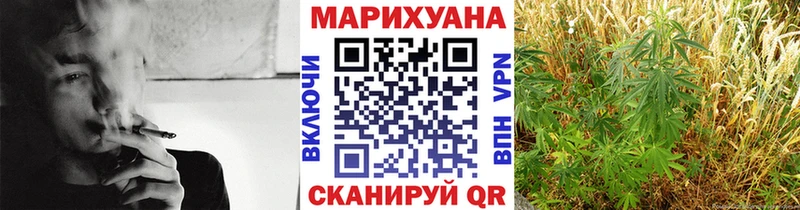 Купить Лесозаводск Шишки марихуана Amnesia